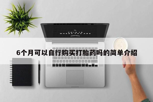 私人买的打胎药的微信6个月可以自行购买打胎药吗的简单介绍